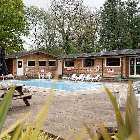 Honeysuckle Lodge Set In A Beautiful 24 Acre Woodland Holiday Park Newcastle Emlyn Exterior photo