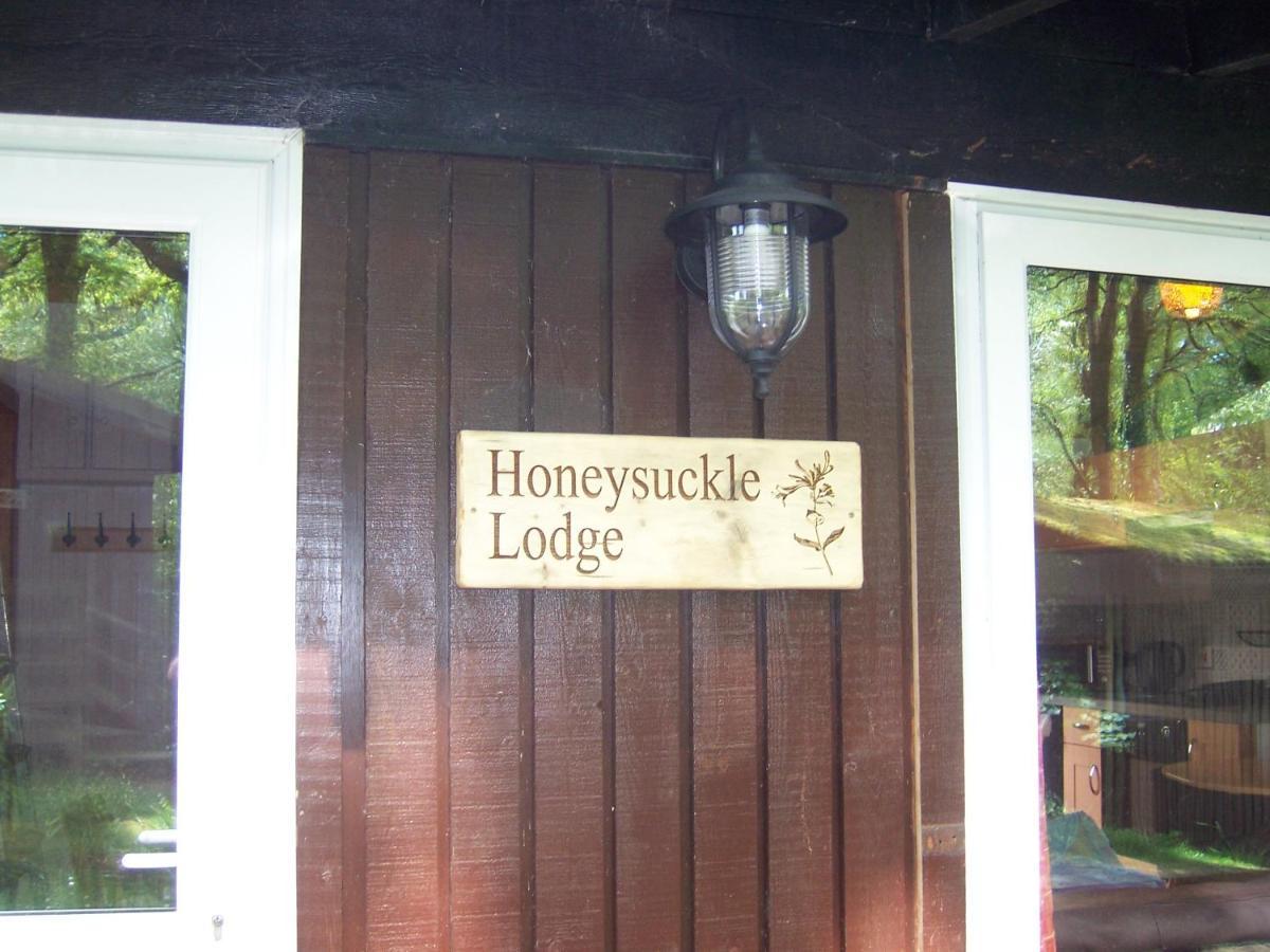 Honeysuckle Lodge Set In A Beautiful 24 Acre Woodland Holiday Park Newcastle Emlyn Exterior photo